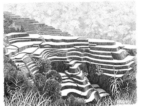 simple palayan drawing|Banaue Rice Terraces .